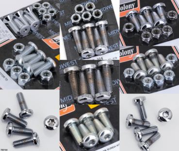 BREMSSCHEIBENSCHRAUBEN & MUTTERN FÜR SOFTAIL